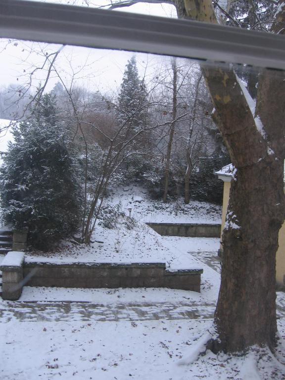 מלון Gödöllő Mater Salvatoris House מראה חיצוני תמונה